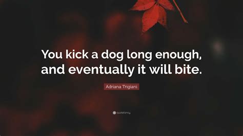 saying about kicking a dog.